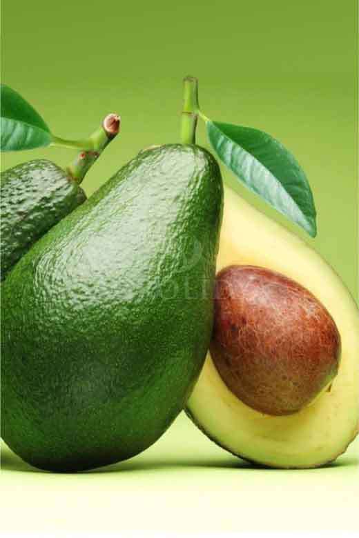 Bacon Avokado Fidanı 